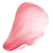 Shape
